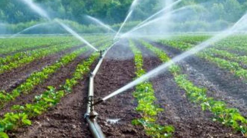 The public representatives stated that farmers under the SRSP were worried as many of them were not getting water for farming.   (Representational Image)