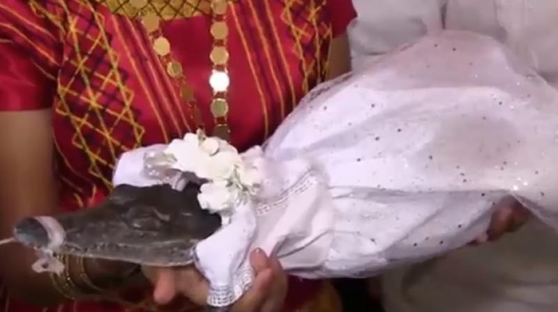 The crocodile princess bride in Mexico. (Photo: Youtube)
