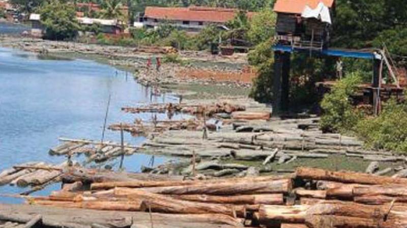 Timber business along River Kallayi. (File pic)
