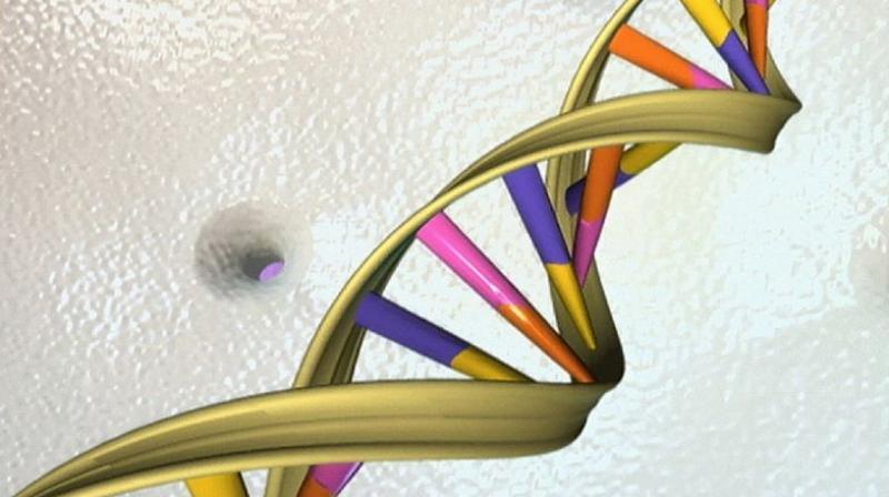 A significant amount of work needs to be done before prenatal gene editing can be translated to the clinic (Photo: AFP)