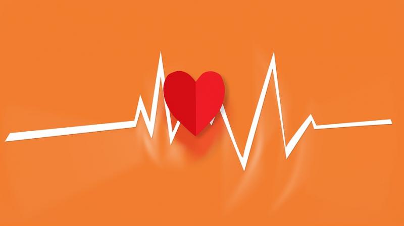 Heart disease risk and life span are influenced by various factors. (Photo: Pixabay)