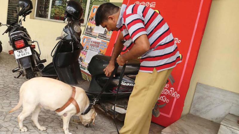 Bomb squad officials search for the bomb at the sub-treasury in Kottayam on Monday. (Photo: DC)