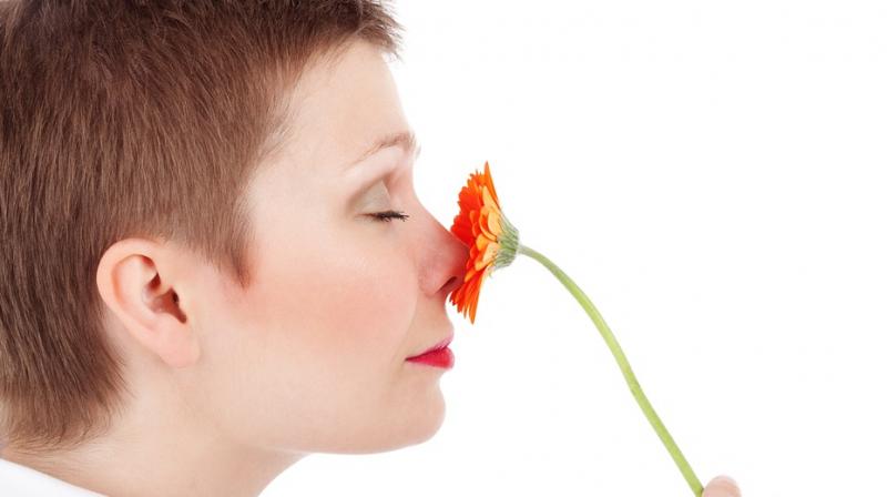 Sense of smell can predict what kind of political candidate you will back. (Photo: Pixabay)