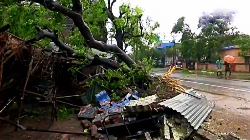 Trees uprooted and houses damaged in Nagapattinam in the overnight rainfall and strong winds which hit the town. (Photo: Twitter | ANI)