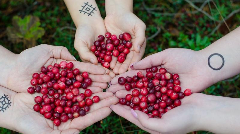 Cranberry reduces risk of urinary tract infection recurrence in women. (Photo: Pixabay)