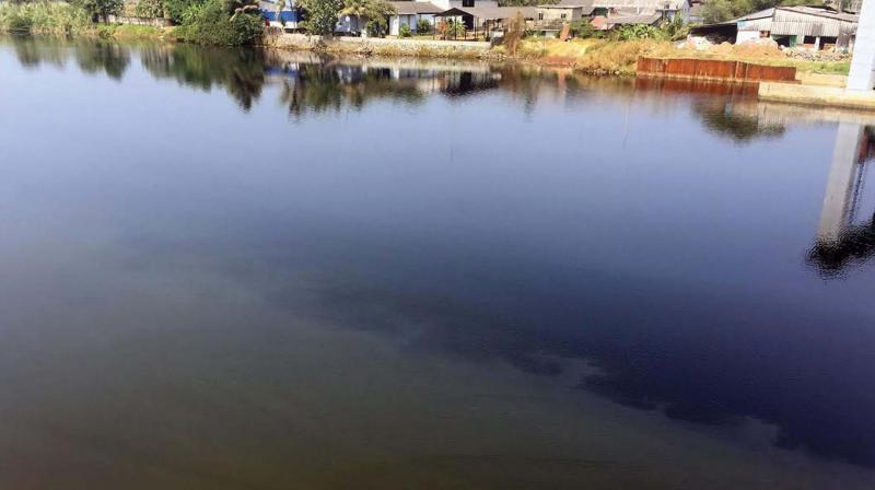 The colour of the water in Periyar as a result of effluents being dumped by industries. (Photo: DC)