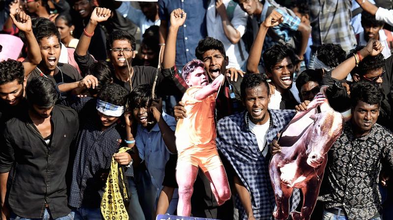 Students protesting to lift the ban on Jallikattu and demanding a ban be imposed on PETA, at Kamarajar Salai in Marina Beach in Chennai. (Photo: PTI)