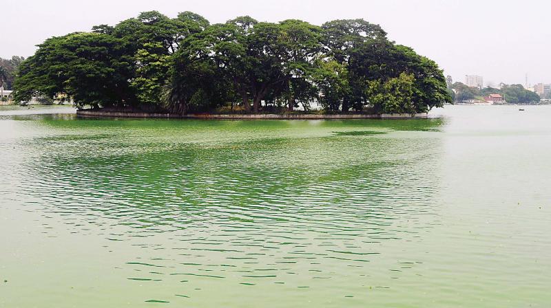 The Ulsoor Lake which is facing a pollution threat