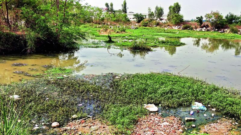 Meedhikunta Lake at Miyapur gets polluted by sewerage water from nearby apartments and colleges.