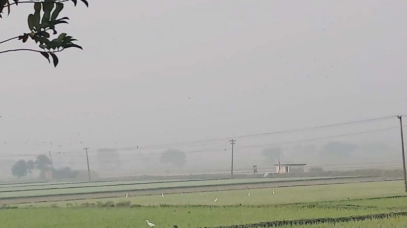A thick layer of fog at Maduranthakam near GST road in Chengalpattu. (DC)