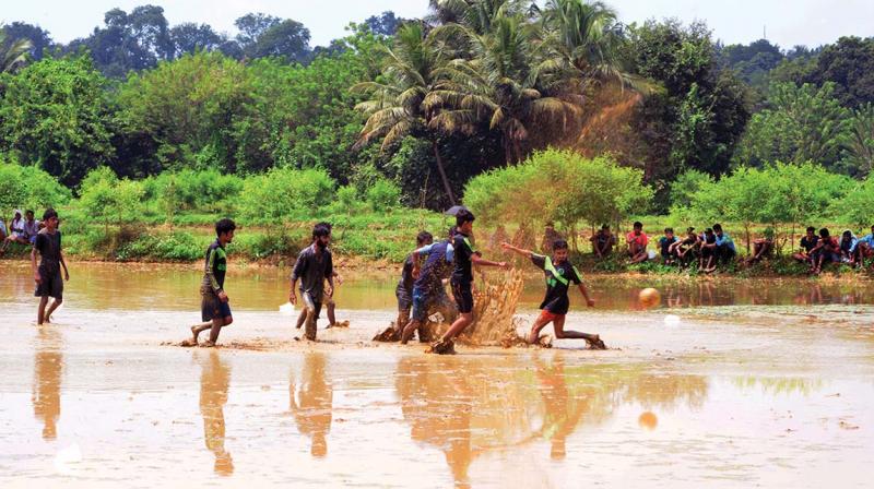 Youngsters play football in a paddy field at Mankurissy village in Palakkad on Sunday. 	Picture Courtesy: Shaji Mullookkaaran