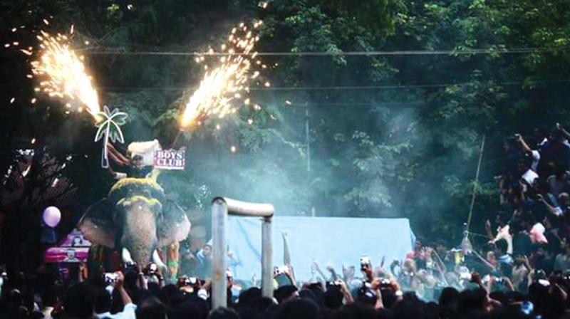 The picture of the firework conducted atop an elephant during the church fest at Pazhanji on October 3 released by Heritage Animal Task Force.