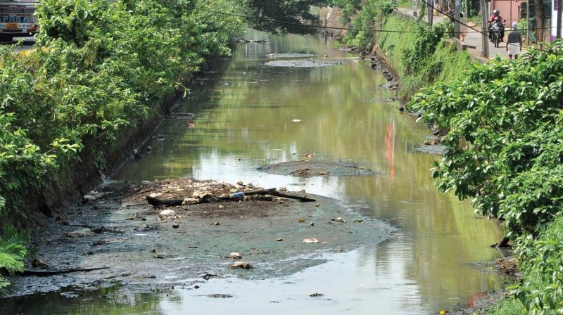 Once the lifeline of the city, Canoli Canal is now filled with silt and debris. 	(Photo: DC)