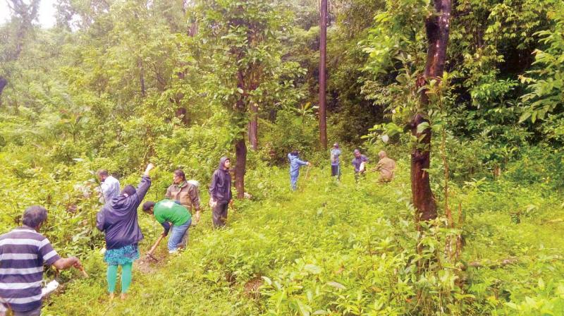 Environmentalists and nature lovers at the Kudremukh National Park to participate in  Hasiru Hodike, on Sunday.