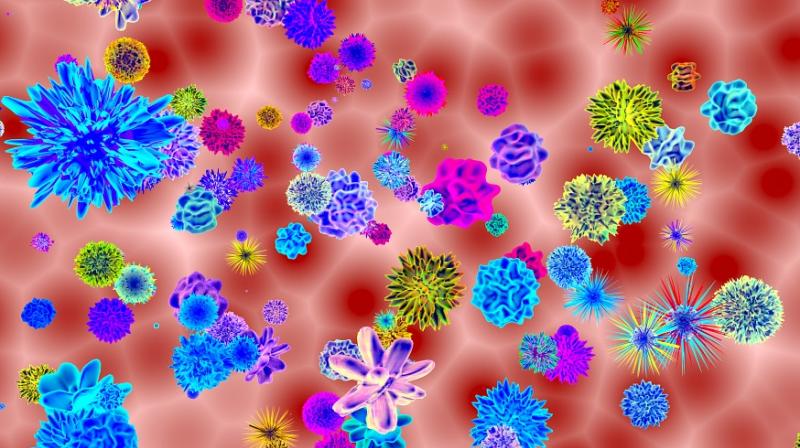 New study discovers viruses can alter human bodys response to vaccines. (Photo: Pixabay)
