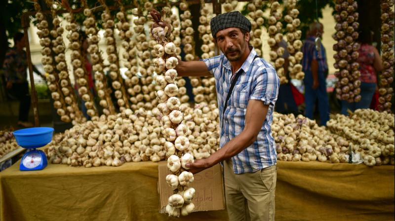 For love of garlic: Spanish festval sees fair dedicated to plant For love of garlic: Spanish festval sees fair dedicated to plant