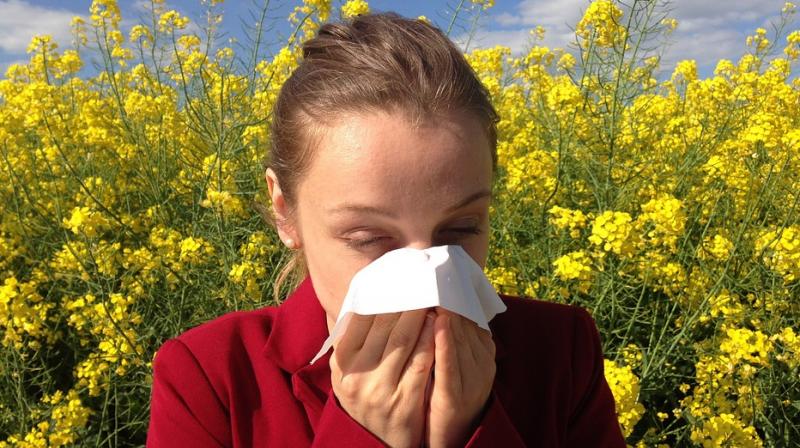 Allergy prevention tips