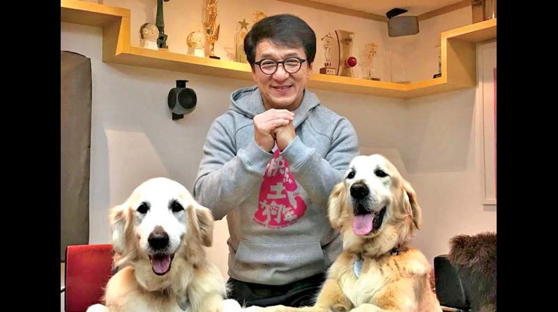 Try adopting a pet instead of buying commercially bred animals.   Jackie Chan