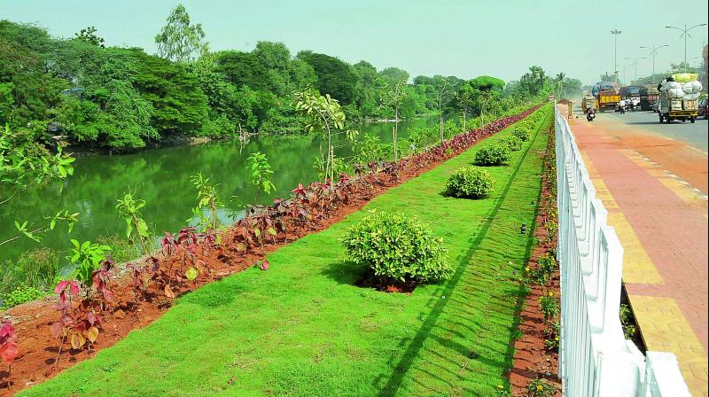 Beautification works in progress in Vijayawada. Greenery has been improved in the city. (Photo: DC)