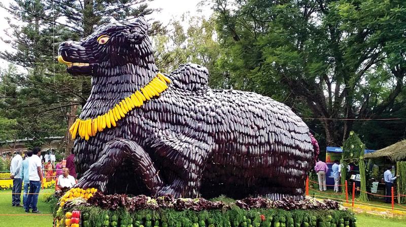 Vegetable Nandi made out of 500 kgs of brinjal. (Photo: DC)