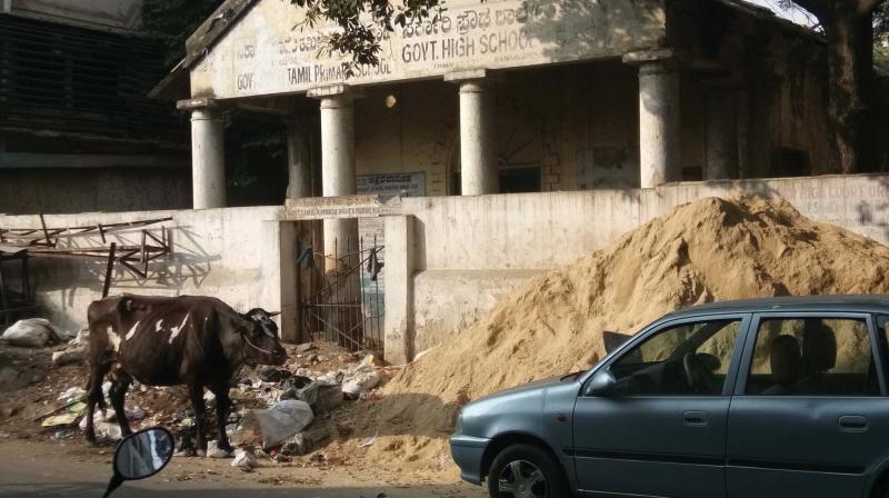 Garbage thrown in front of the BBMP Tamil-Kannada school on Thimmaiah Road in Bengaluru