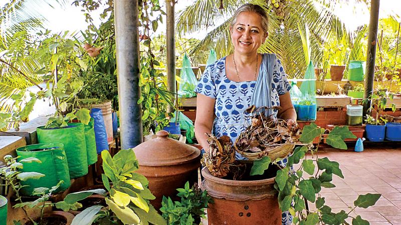 What started off as an interest in Solid Waste Management led her gradually to growing her own safe and organic food.