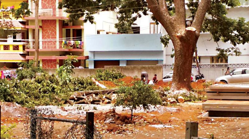 A rain tree being cut to make space for an Indira Canteen at Jogupalya in Bengaluru.