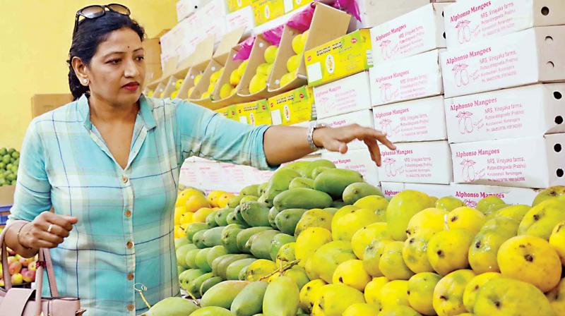 A citizen glances through mangoes at Mango and Jackfruit Mela in Bengaluru on Tuesday  (Image: DC)