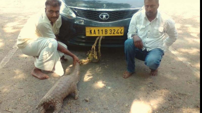 The two accused with the rescued pangolin