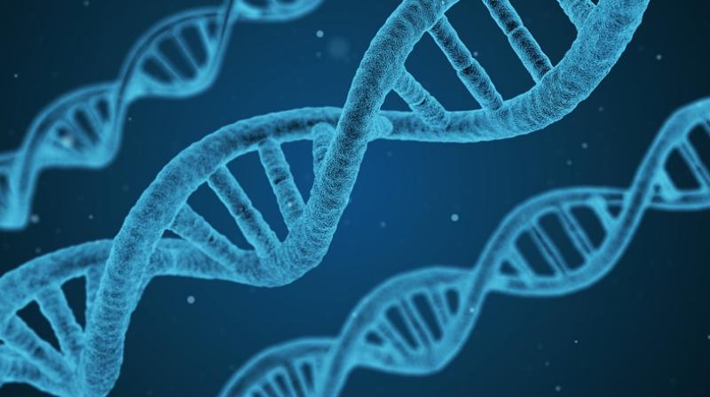 Subtle variations in millions of genes raise a persons risk of developing diseases. (Photo: Pixabay)