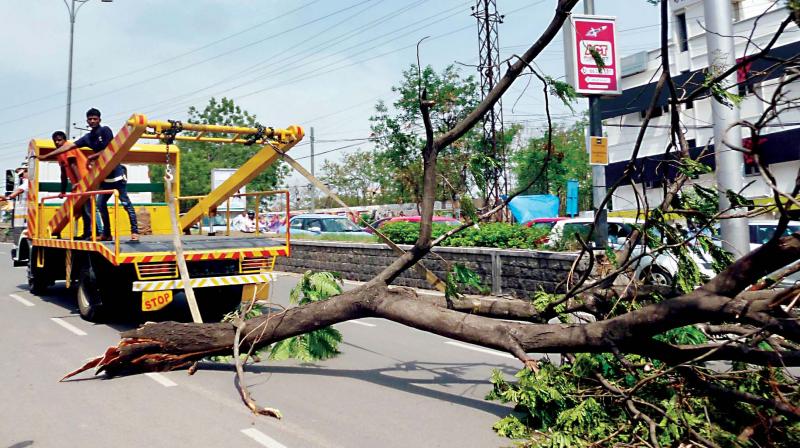 While the civic agencys record on this front is dubious, it continues to threaten more of the citys green cover with projects like the Jayamahal road widening, placing  Bengalurus future as a Garden City at even greater risk.