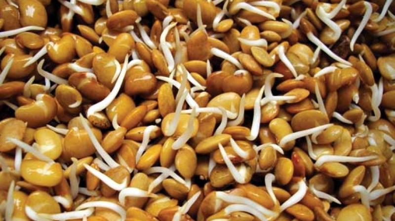 The FSSAI has issued a notice asking for suggestions, views, comments etc from stakeholders on the draft notification related to standards of all pulses, whole and decorticated pearl millet grains, degermed maize flour and maize grit, couscous, tempe, textured soy protein, sago flour.