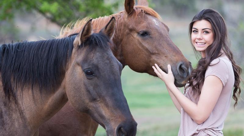 Scientists from Hokkaido University demonstrated for the first time that horses integrate human facial expressions and voice tones to perceive human emotion.