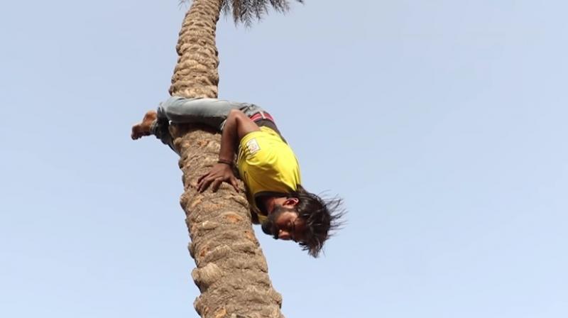 He can climb tall trees in just 5 mins (Photo: YouTube)