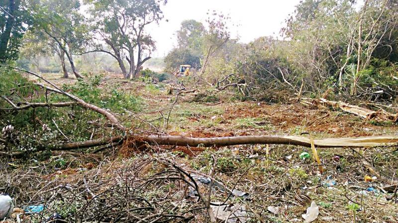 Trees being felled at Pattandur Agrahara Lake near Hope Farm Junction.