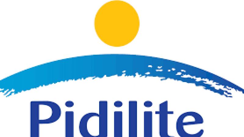 Pidilite Industries.