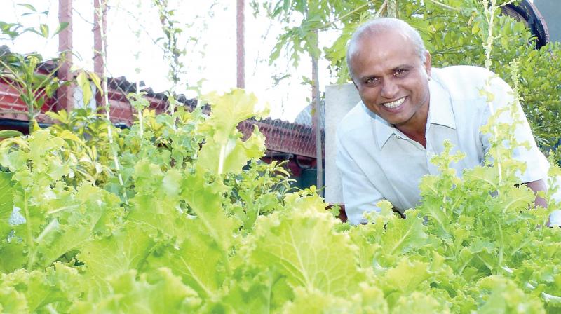 H.R. Jayaram, a lawyer-turned agriculturist, who is the brain behind The Green Path Foundation (Photo: R. SAMUEL)