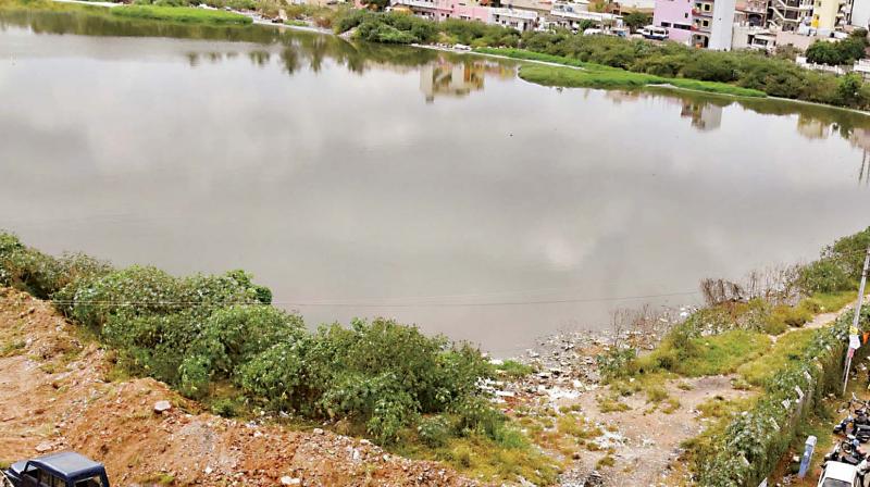 In areas around Bellandur and Varthur, we can see farmlands irrigated with sewage-fed water.