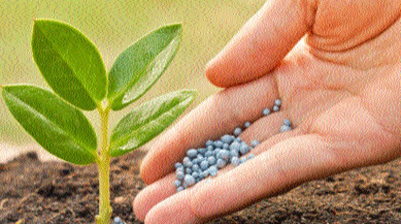 Bio-rational pesticides are naturally derived plant ingredients.