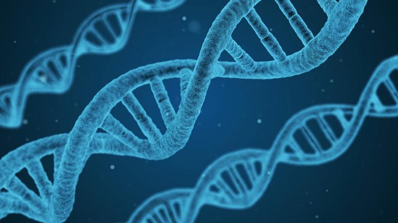 Study discovers genes linked to childhood nephrotic syndrome. (Photo: Pixabay)
