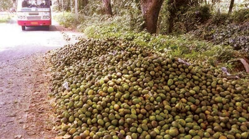 Mangoes dumped at Channenahalli on Ramanagara-Jalamangala main road