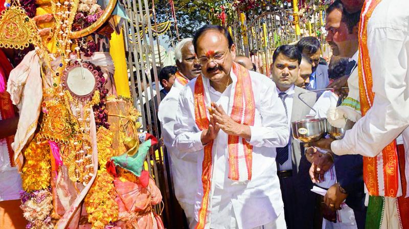 Vice-President M. Venkaiah Naidu at the altar of Sammakka during his visit to Medaram Jatara on Friday. (Photo: DC)