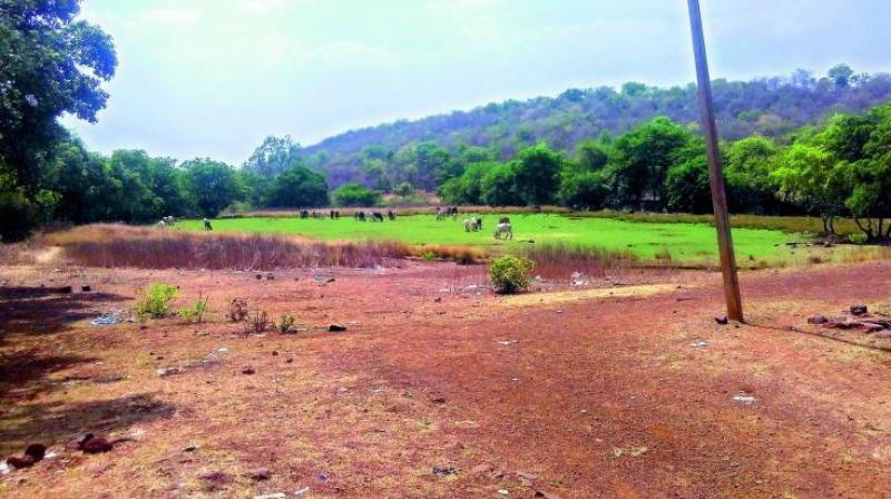 Vinod Reddy, a farmer from Kurmidda, said that land rates in villages were in the range of Rs 20 to 30 lakh per acre.  (Representational image)