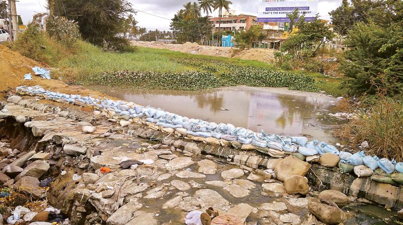 Sandbags placed by the BDA to block flow of water from the breached Varthur Lake to facilitate work on the Rotary road project (Photo: DC)