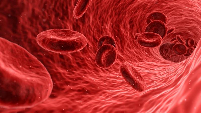 Predicting when a patient is in danger of developing a blood clot is challenging for physicians. (Photo: Pixabay)