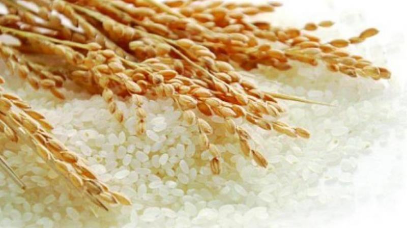 In Krishna district, the Aadhaar-enabled e-pass system is being implemented in the public distribution system. Earlier, without Aadhaar, there were 12 lakh cards. After Aadhaar-linking, the number of cards reduced to 11 lakh.