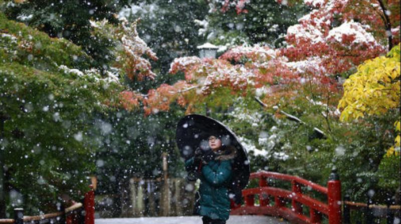 A visitor takes a photo in the snow at the Tsurugaoka Hachimangu Shrine in Kamakura, near Tokyo. (Photo: AP)