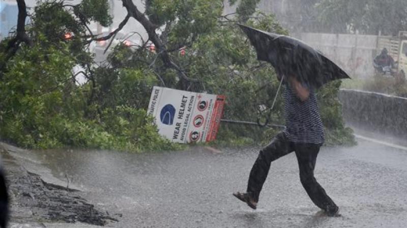 A man runs for safety as an uprooted tree blocks the road during heavy rainfall triggered by Cyclone Vardah in Chennai on Monday. (Photo: PTI)