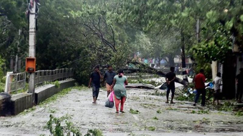 The movement of traffic on several arterial roads including the famous Anna Salai, Grand Southern Trunk road were largely affected while several trees were uprooted. (Photo: PTI)