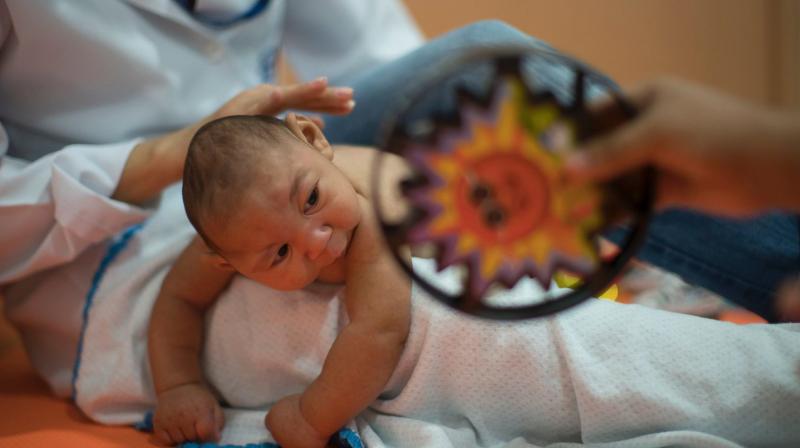 The mosquito-borne virus can cause severe brain damage and microcephaly, or small head size, when women are exposed during pregnancy. (Photo: AP)